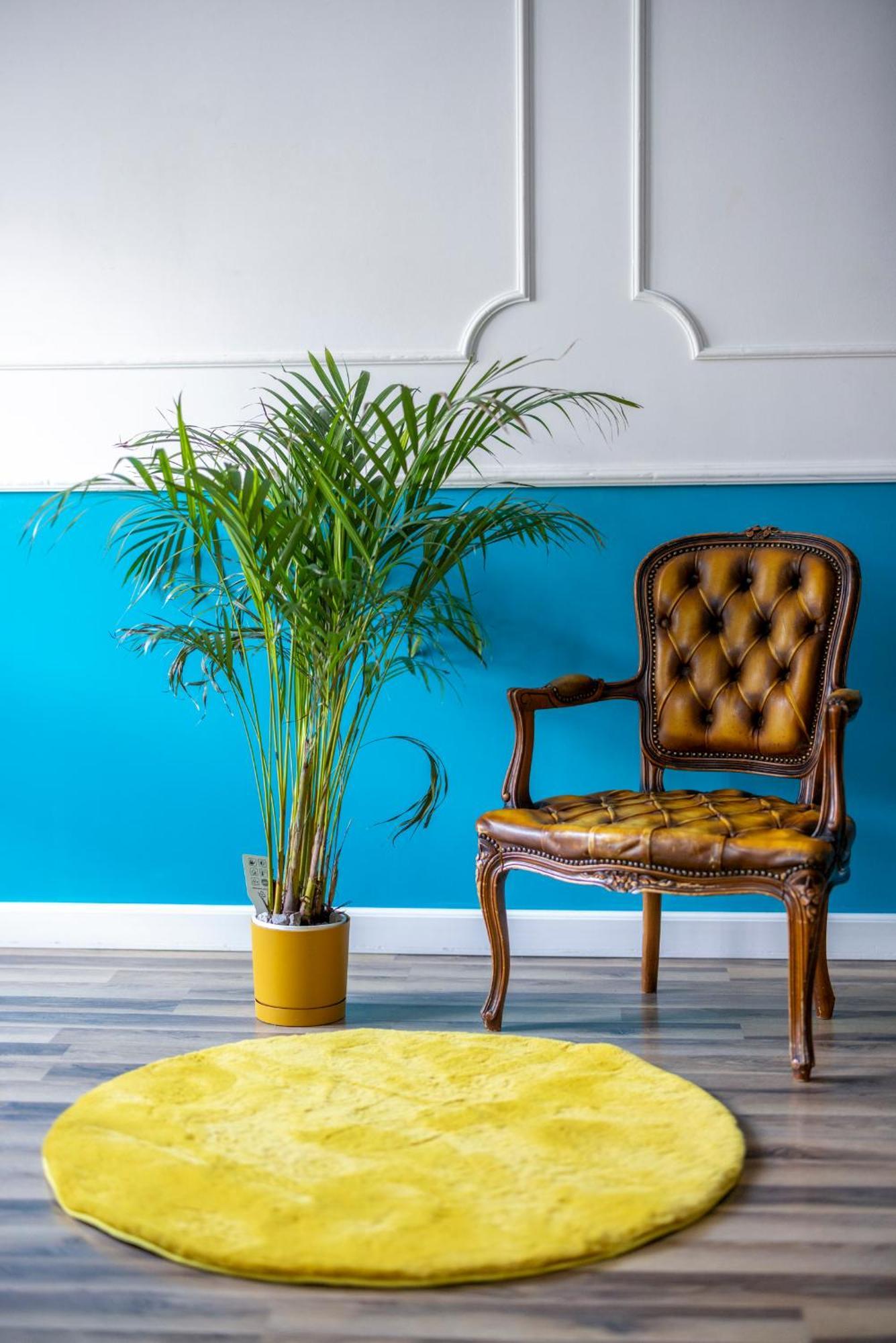 לודז' Royal Apartment מראה חיצוני תמונה